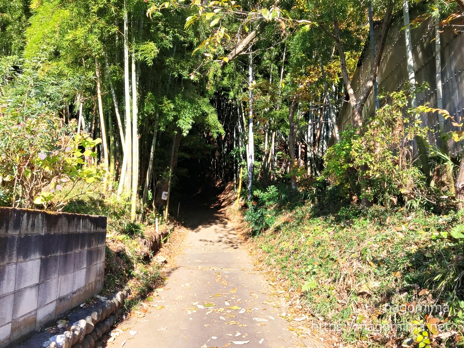 【八王子】滝山城跡・都立滝山公園【多摩散歩】